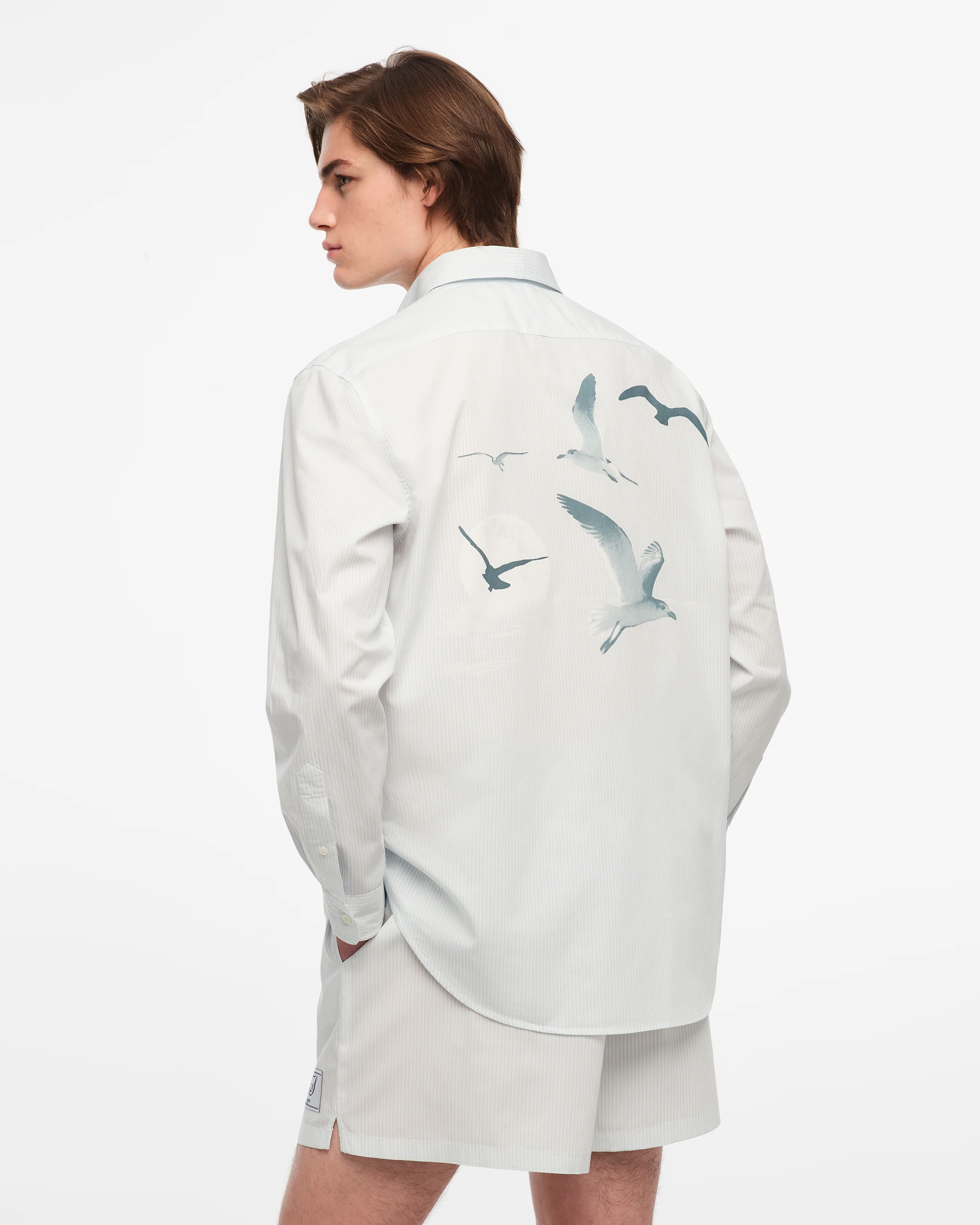 1989 (Taylor’s Version) Seagull Blue Stripe Poplin Shirt - Image 5