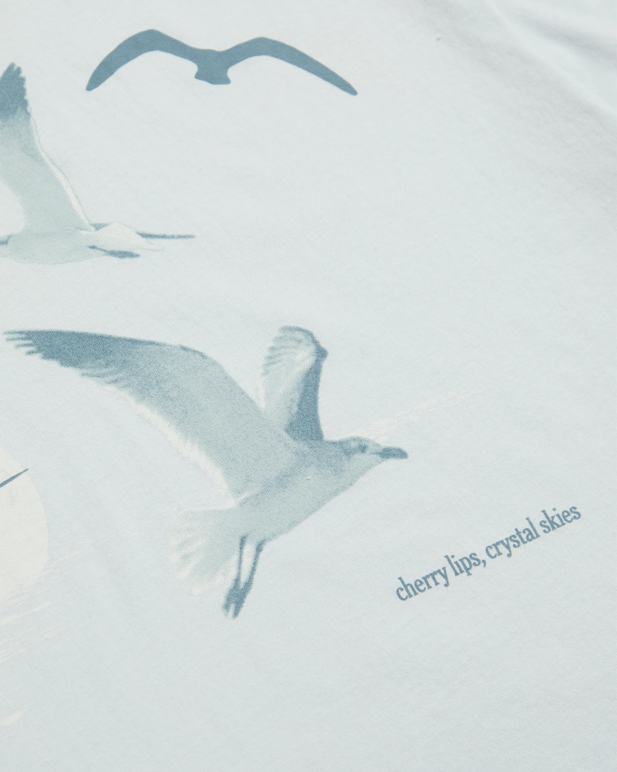 1989 (Taylor’s Version) Seagull Boxy T-Shirt - Image 12
