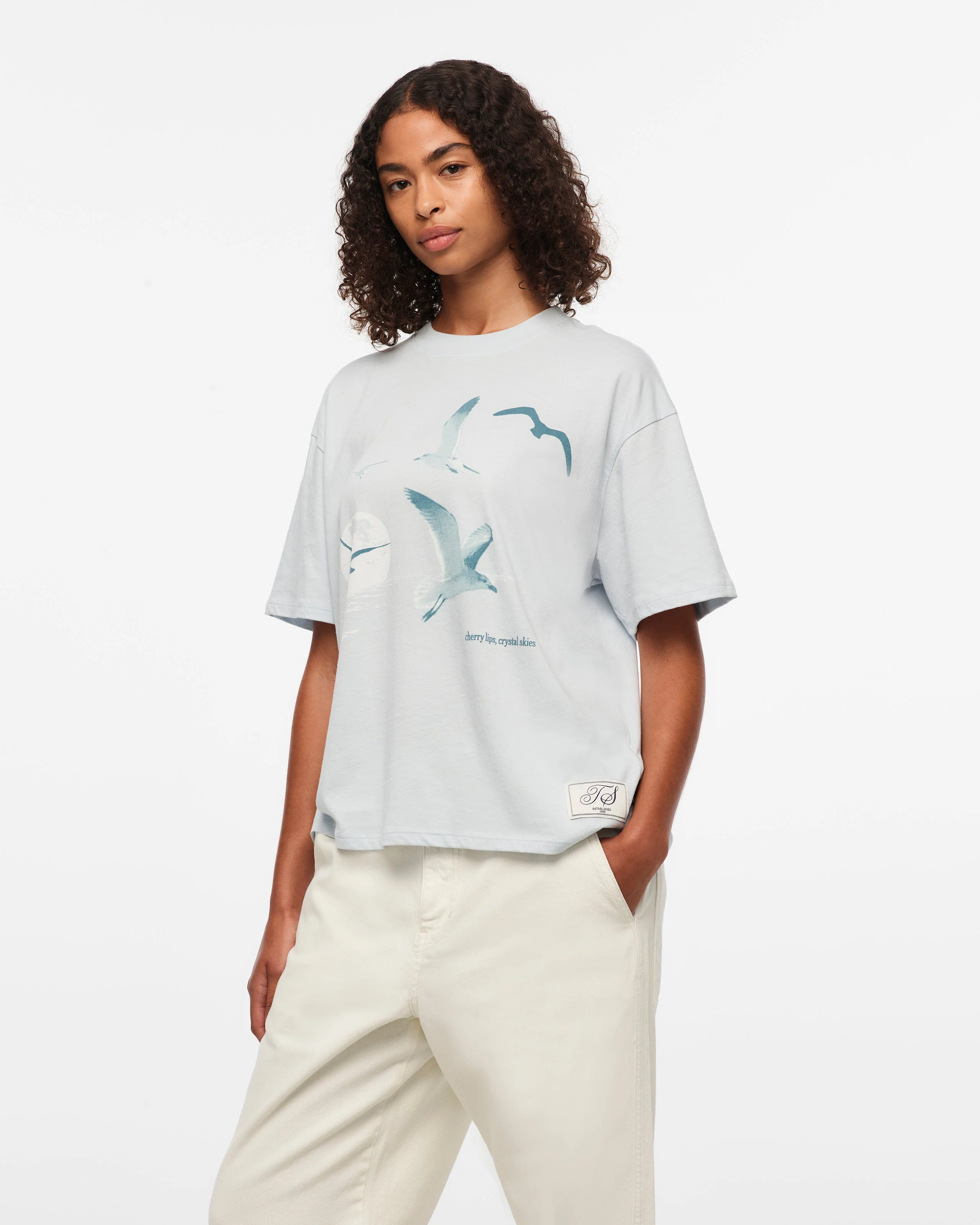 1989 (Taylor’s Version) Seagull Boxy T-Shirt - Image 3
