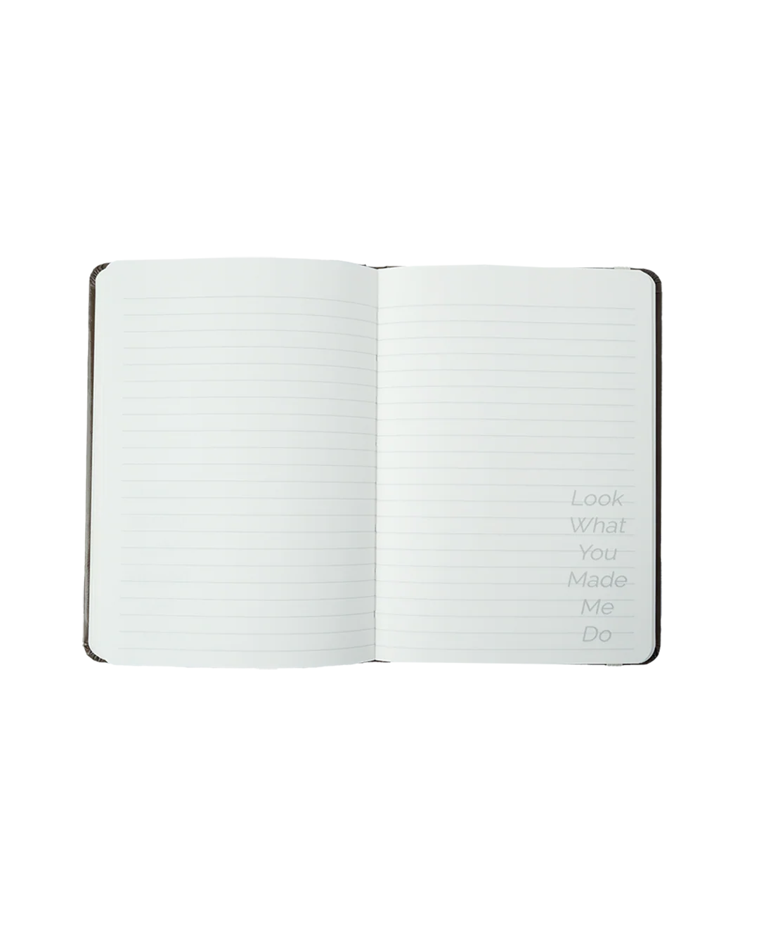 Jack Leopards & The Dolphin Club Notebook - Image 4